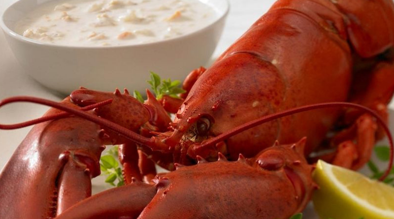 Un peu de homard, beaucoup de mépris.