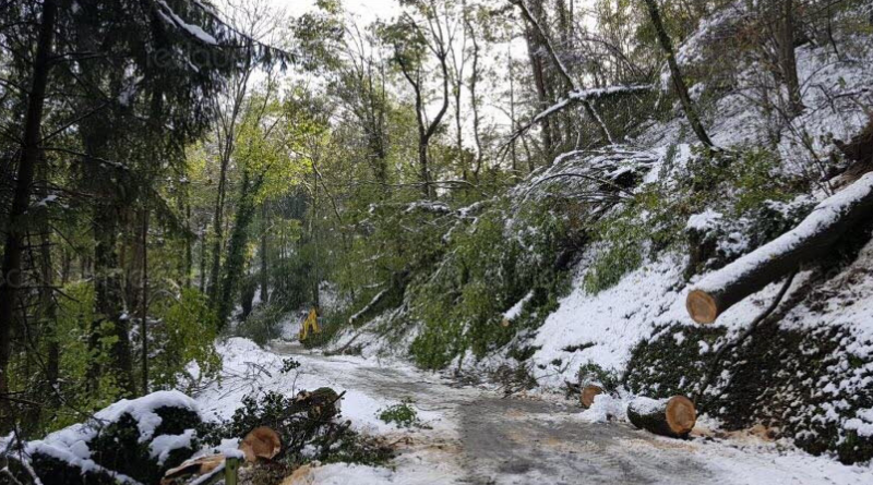 Neige, séisme et inondations.