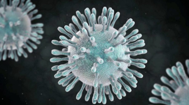 Épidémie de coronavirus : marqueur de la mondialisation des échanges, marqueur du racisme.