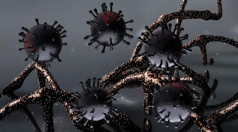 1400 morts en France, 2000 aux USA…Que faire ?