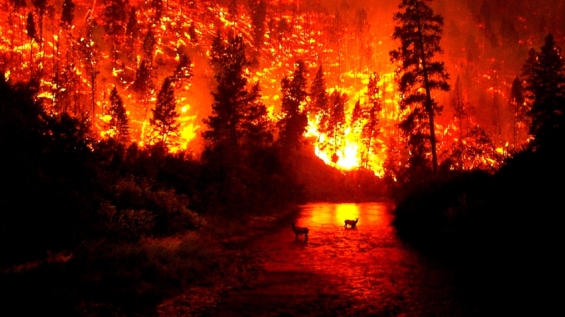 Journée internationale de l&rsquo;environnement – ICOR.